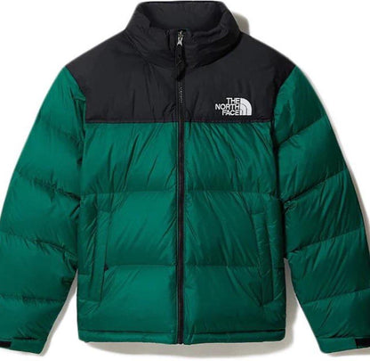 GIUBBINO THE NORTH  FACE UOMO